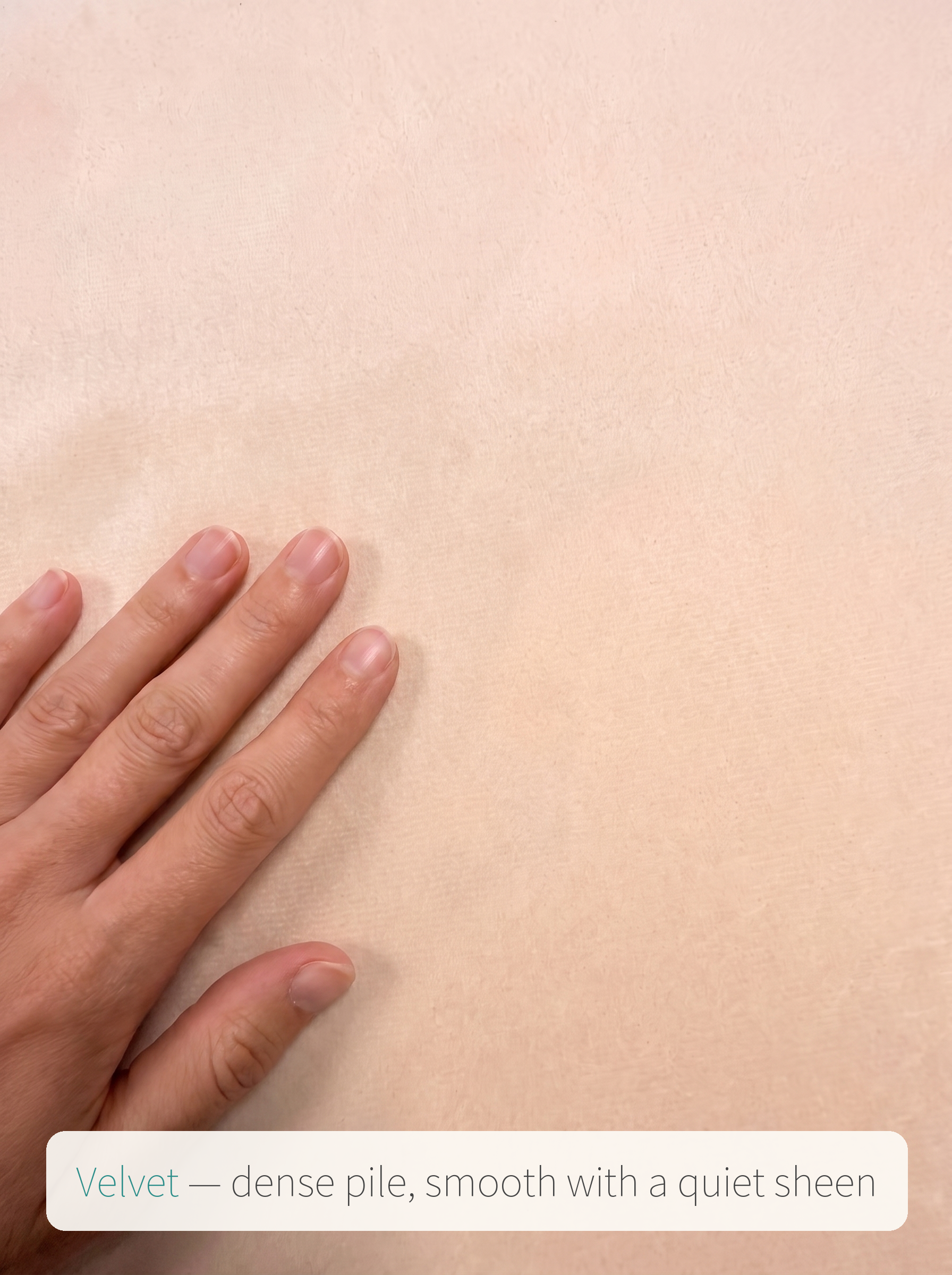 Velvet fabric detail